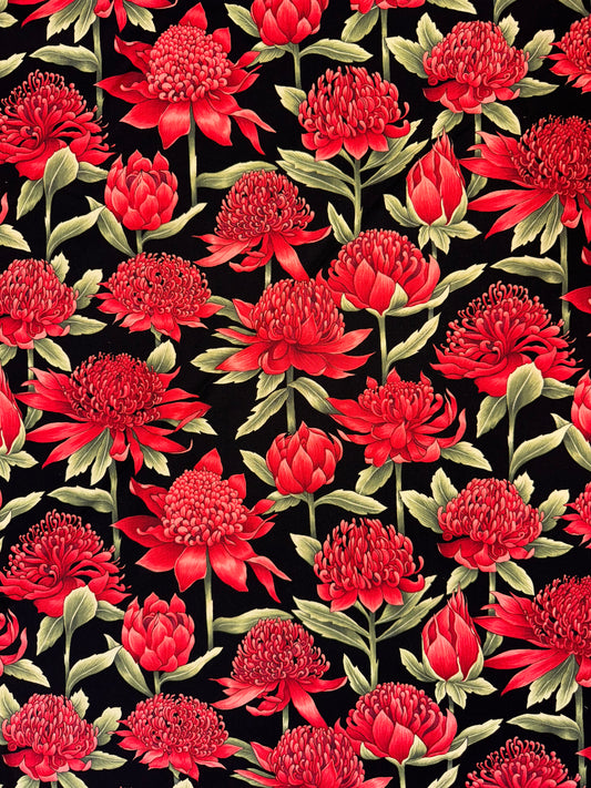 Red Waratah