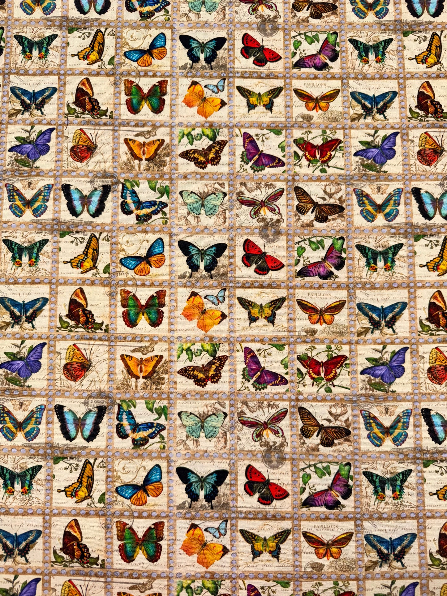 Robert Kaufman - Library of Rarities - Butterfly Collection
