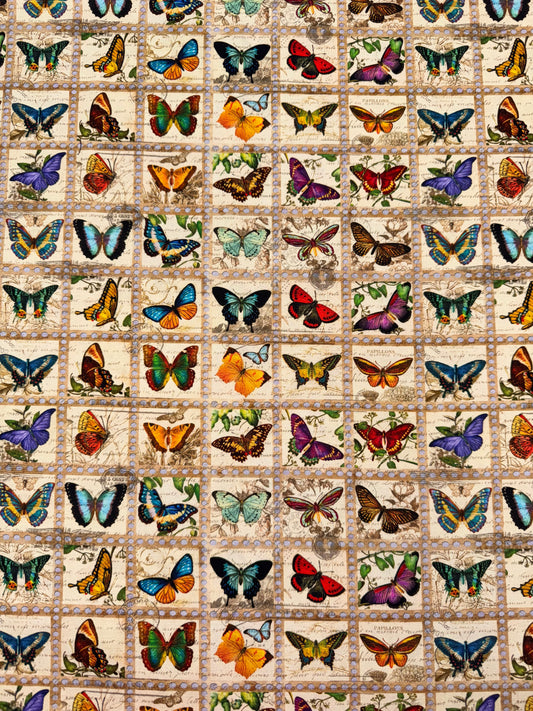 Robert Kaufman - Library of Rarities - Butterfly Collection