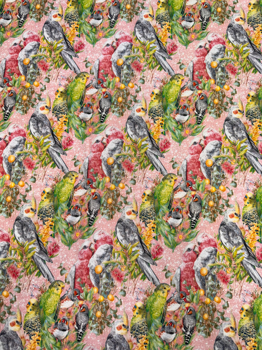 DV6452 Kayla Reay Australian Birds on a pink background