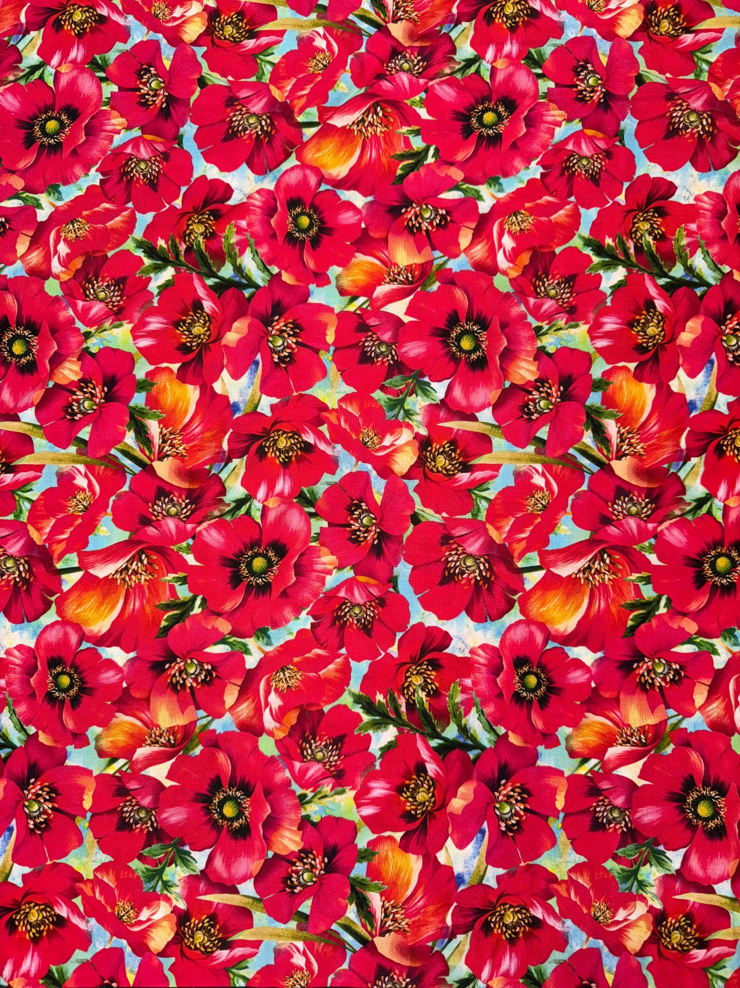 Poppies on blue background 1m only available.