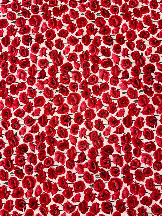 Poppies on white background. 2m available.
