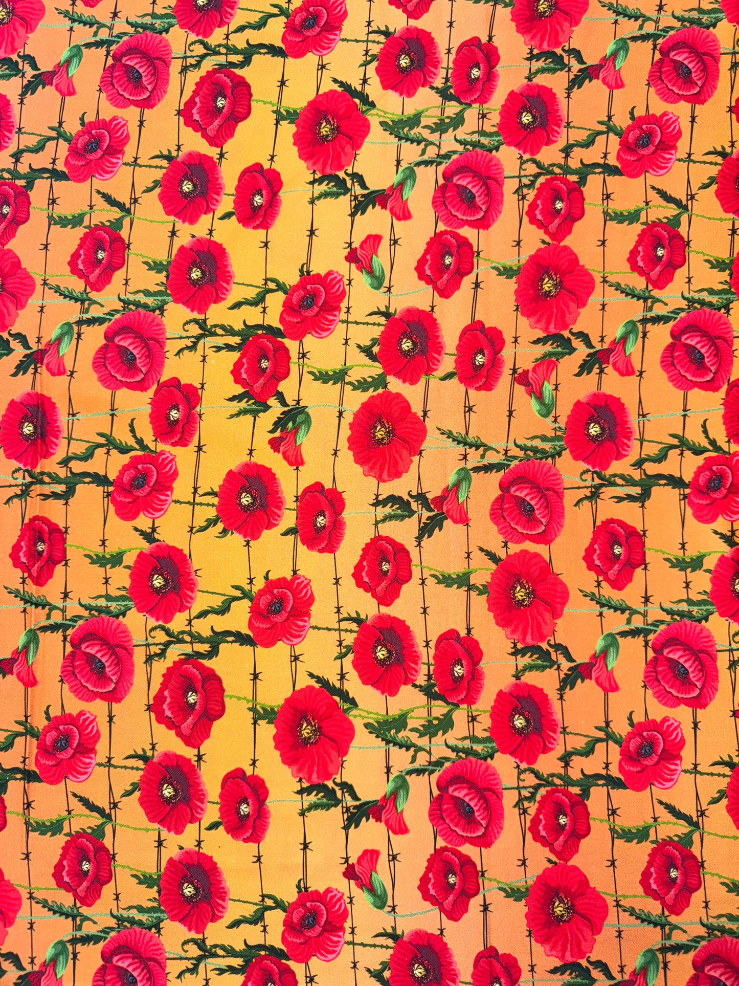 Poppies on Orange background with barbed wire. 1m available.