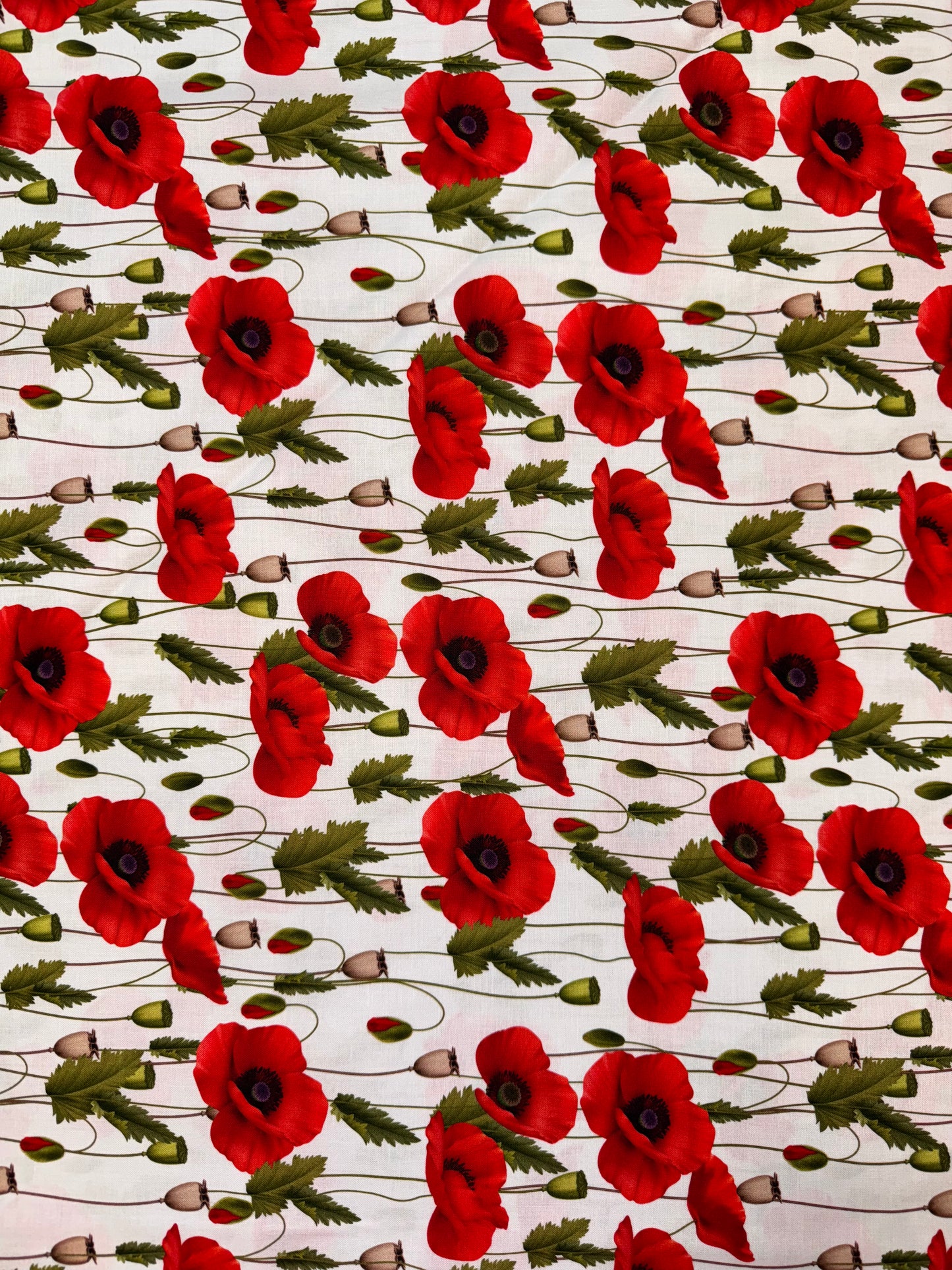Poppies and Leaves on white background