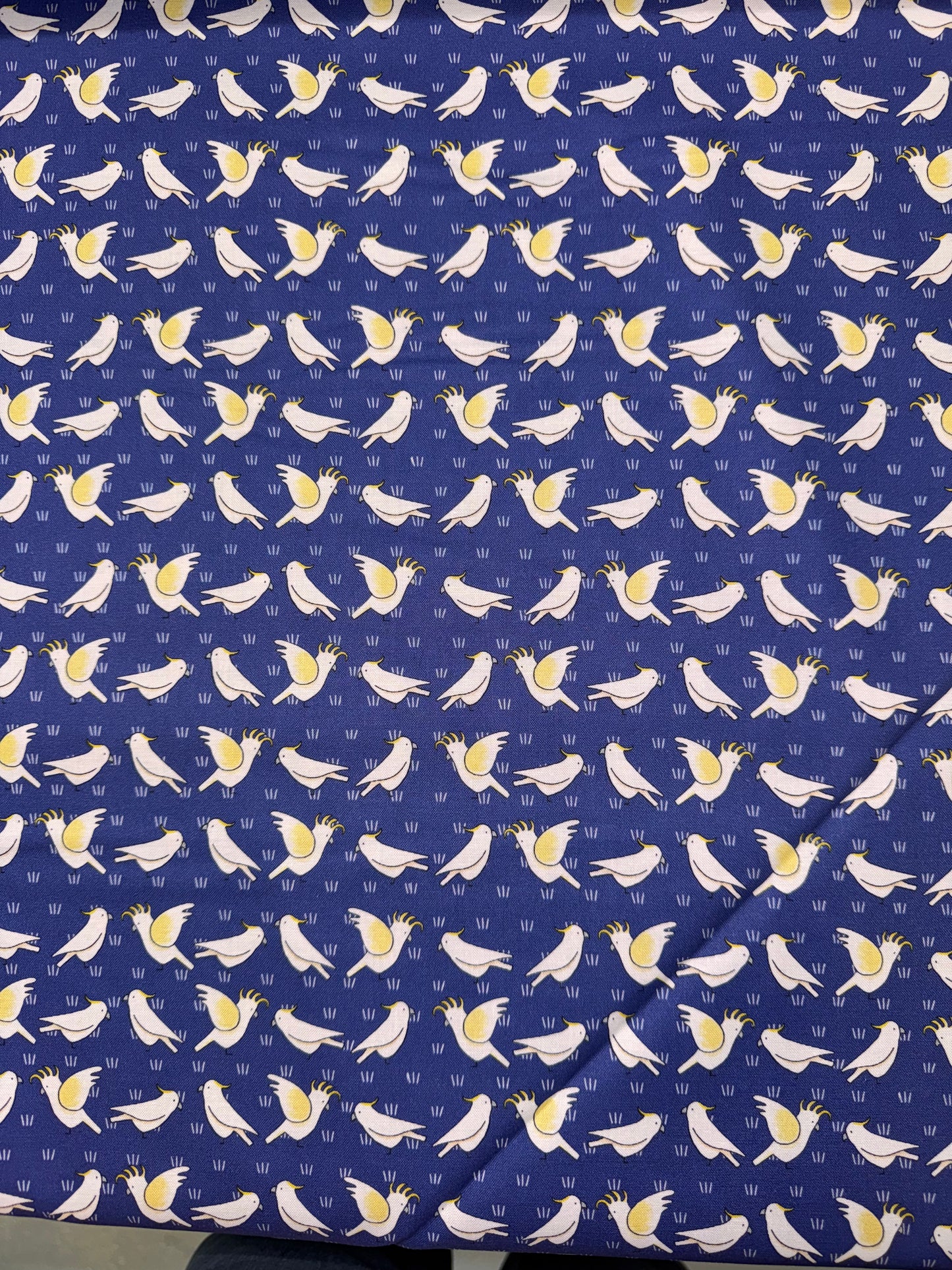 DV5475 Red Tractor Gallahs on Blue background