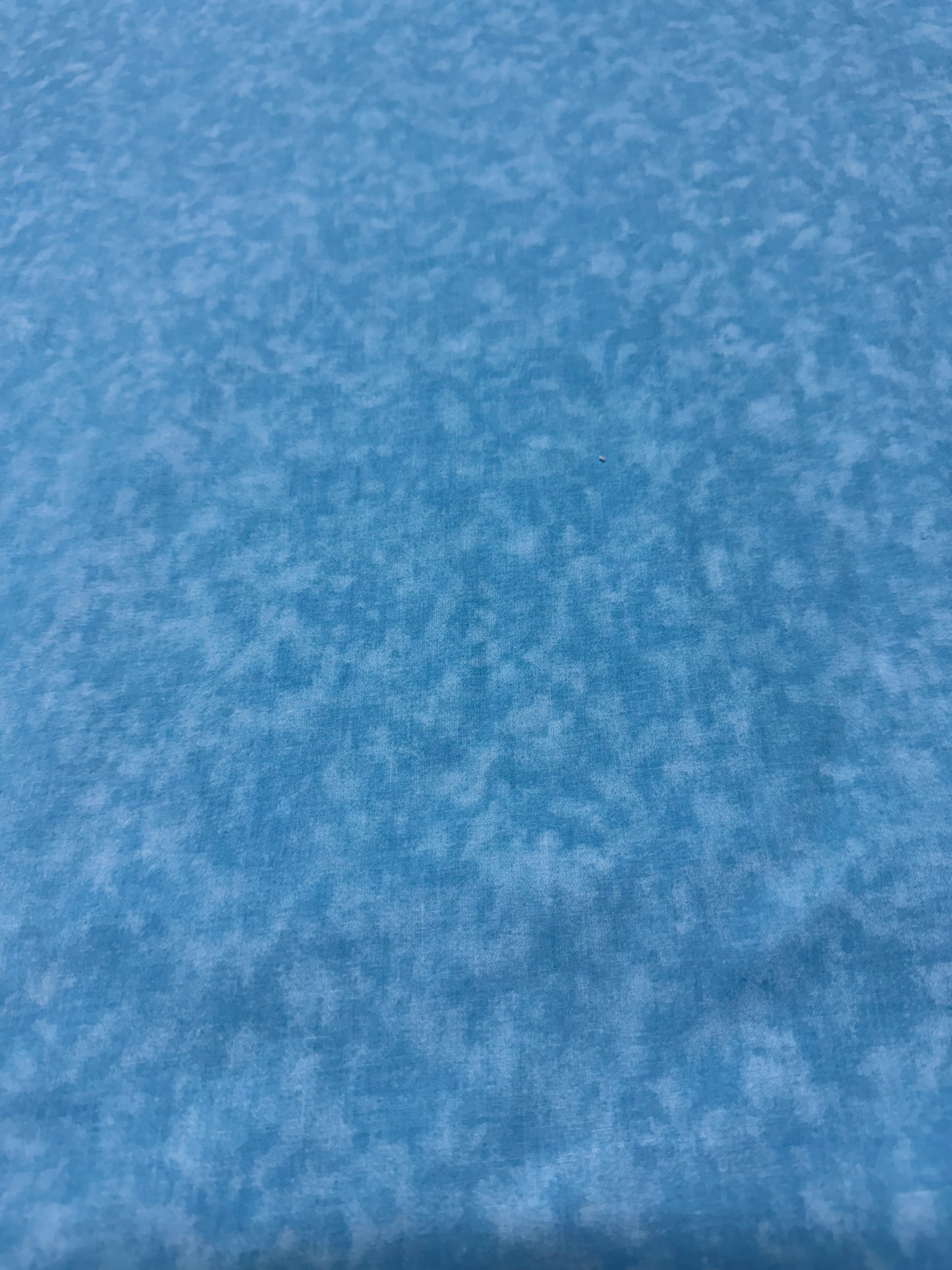 Aqua Blue Textured Wide Back fabric