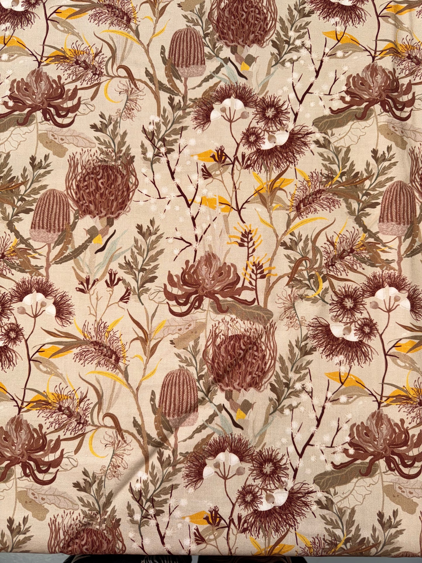 Nora's Natives Waratah on Cream DV6359