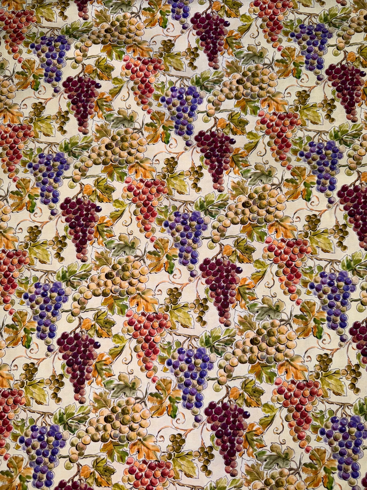 Wine Tasting Multicoloured Grape Bunches Y4575-55