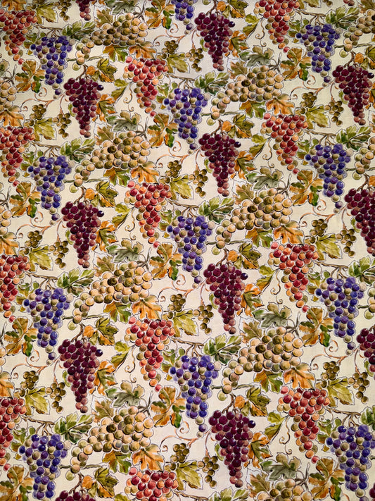 Wine Tasting Multicoloured Grape Bunches Y4575-55