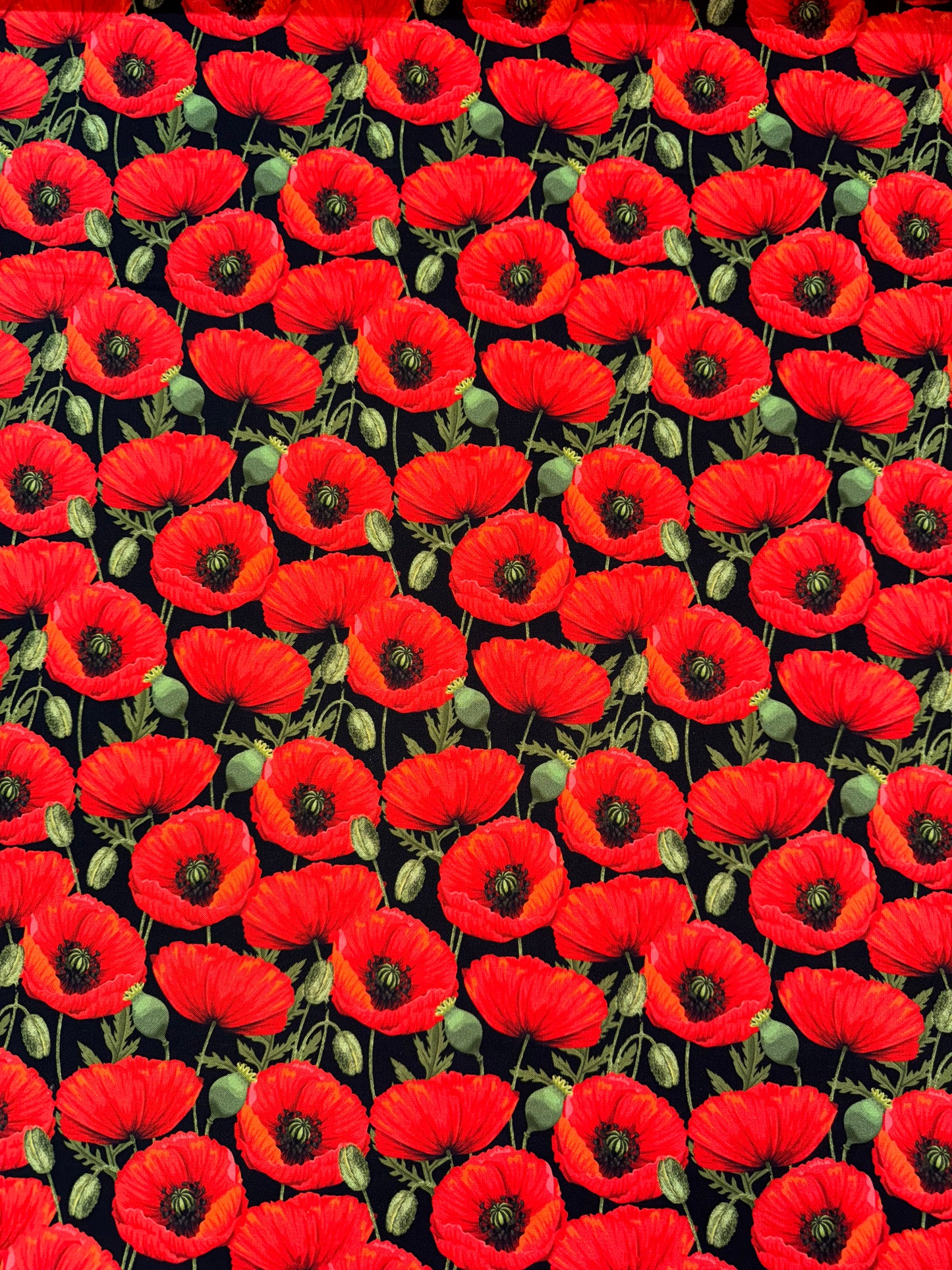 Honour the Light Brigade Poppies on black background