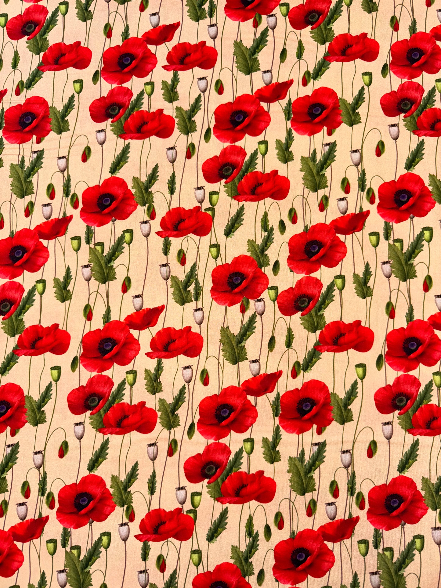 Remembering II Poppies on Beige background