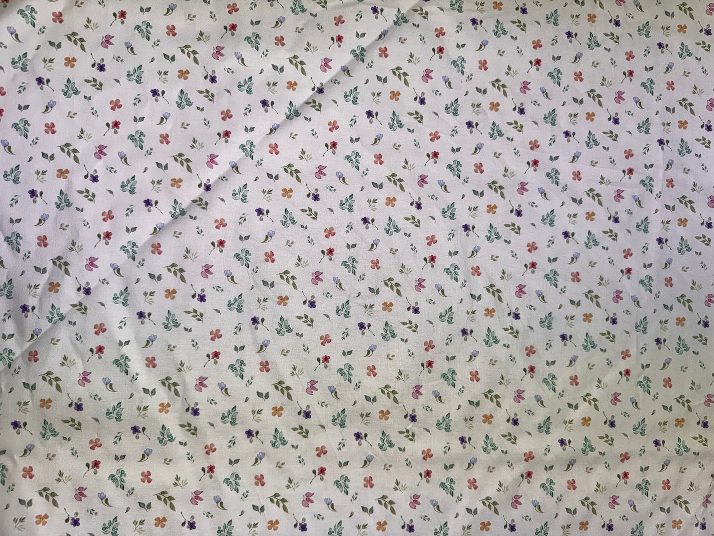 Butterfly Fantasy Panel by Jason Yenter