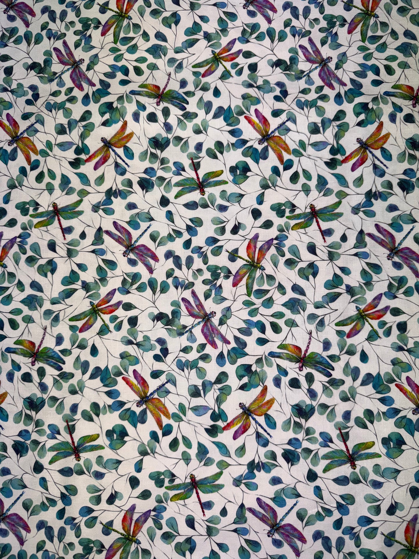 Dragonflies on white background. 82030-5