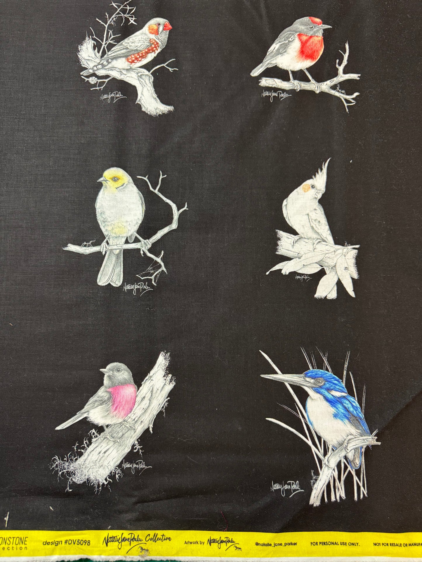 Natalie Jane Parker Fabric Panel -Australian Birds on Black Background 12 per 40cm repeat