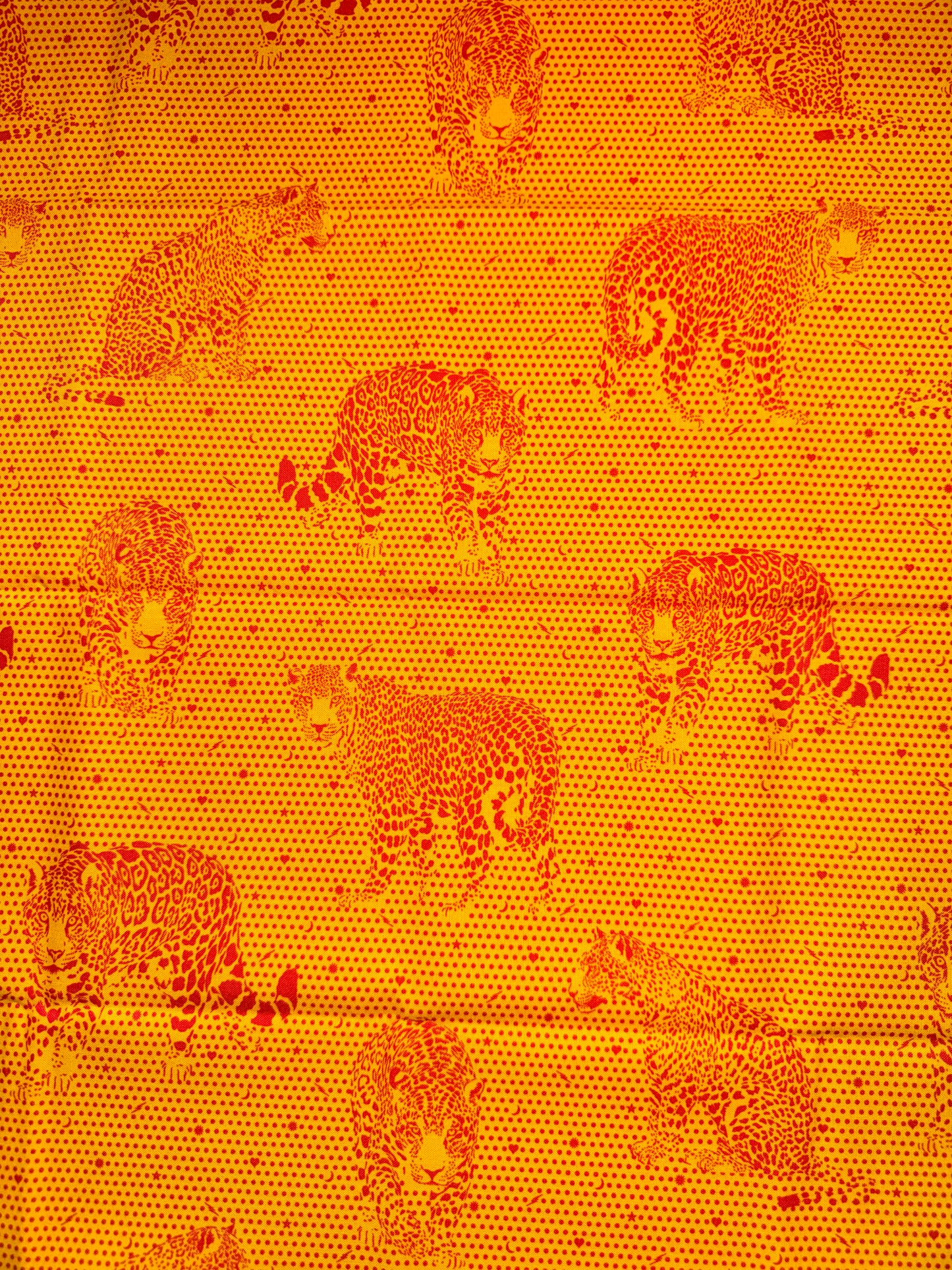 Tula Pink Daydreamer Collection .5m Pieces - Lil Jaguars - Orange
