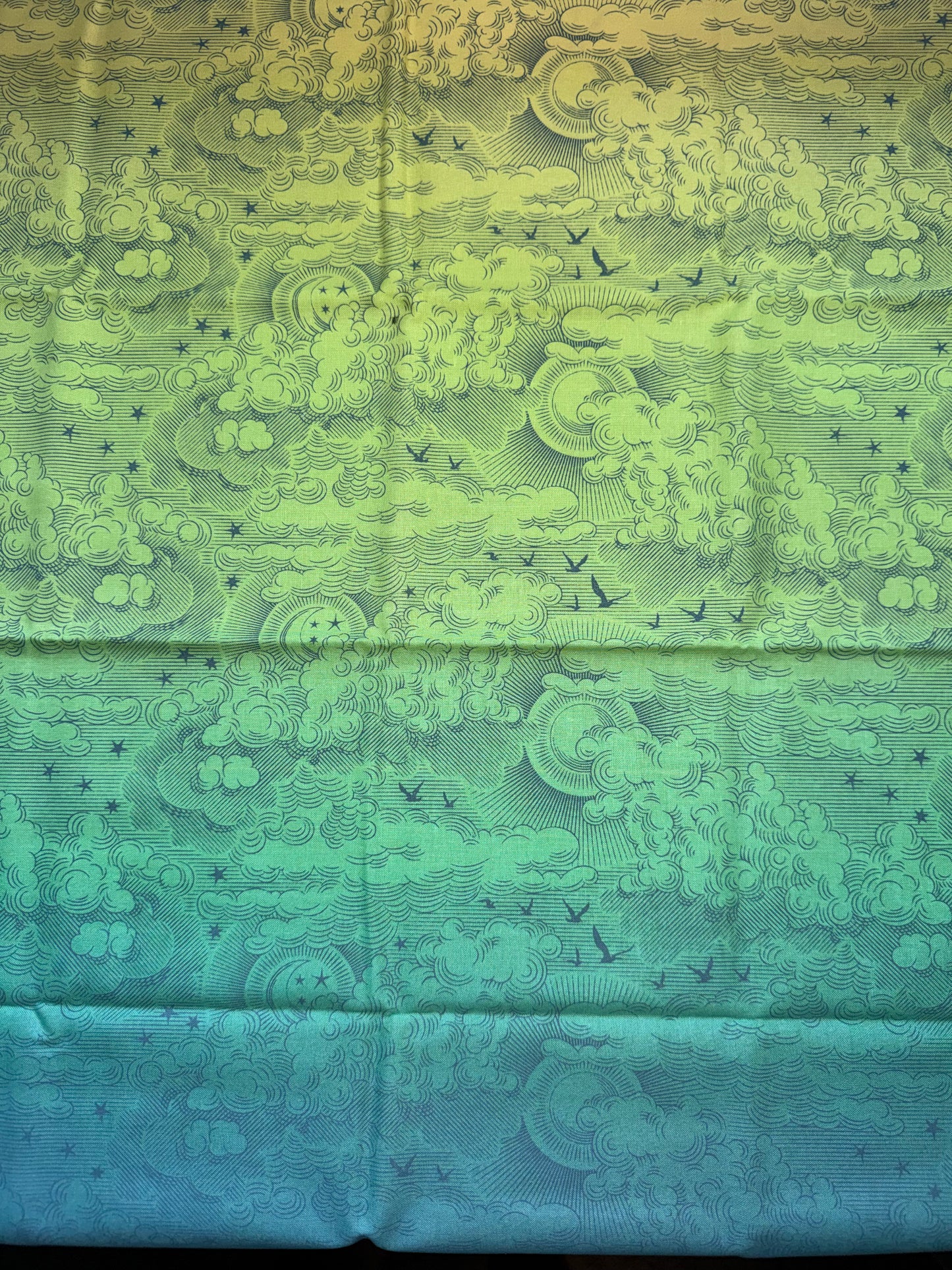 Tula Pink Daydreamer Collection .5m Pieces - Little Fluffy Clouds Green Ombre