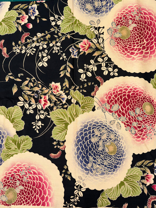 Japanese Large Chrysanthemums on black