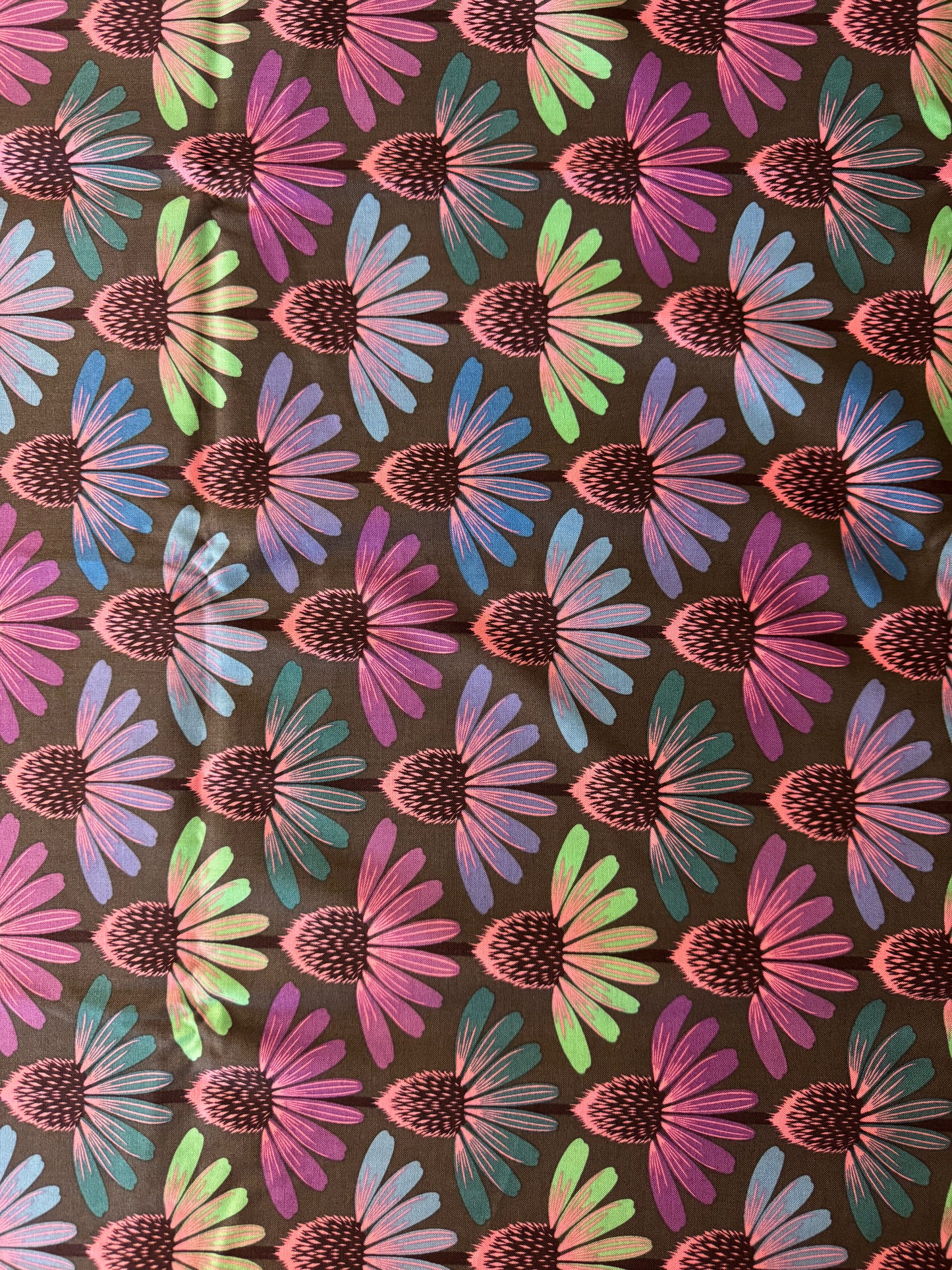 Echinacea Glow