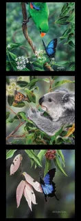 Natalie Jane Parker Fabric Panel - Butterflies and a Koala DV3719